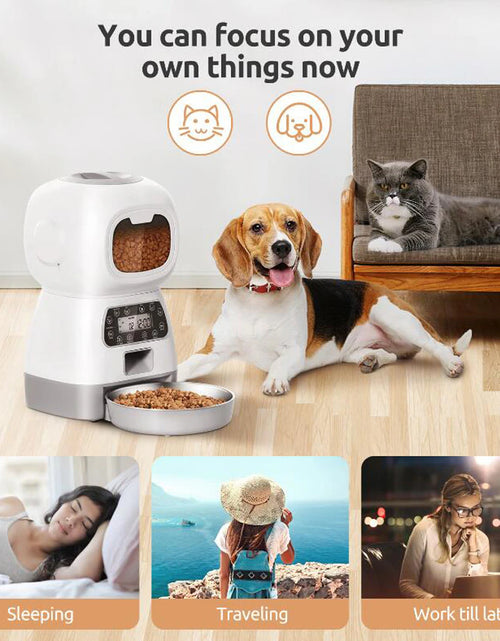 Load image into Gallery viewer, 3.5L Automatic Pet Feeder for Cats Wifi Smart Swirl Slow Dog Feeder with Voice Recorder Large Capacity Timing Cat Food Dispenser
