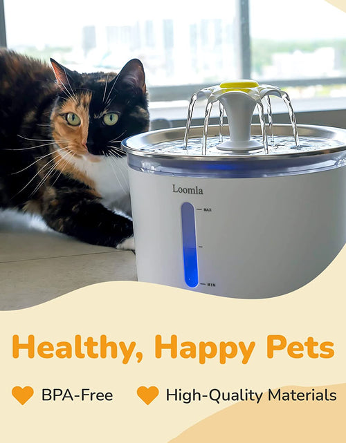 Load image into Gallery viewer, Cat Water Fountain, 85Oz/2.5L Pet Water Fountain Indoor, Automatic Dog Water Dispenser with Switchable LED Lights, 2 Replacement Filters for Cats, Dogs, Pets（Stainless Steel）
